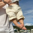 멍멍아 산책가자 | 생후 67주 , 나의 체리 ᰔ