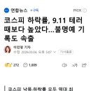 코스피 하락률, 9.11 테러 때보다 높았다…불명예 기록도 속출 이미지