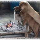 옛날옛적에 이미지