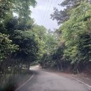 주작산자연휴양림 이미지