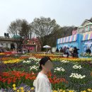 일환축사 | 임신했을 때 흰머리 커버 방법 공유 (헤어 쿠션, 머리띠, 정수리가발 후기)