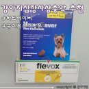라파동물약품 | 강아지심장사상충약 넥스가드 스펙트라 대체품으로 하트세이버, 플레복스 스팟온 구입 / 구미동물약국