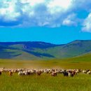 푸른초원 이미지