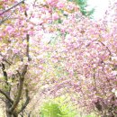 월곡역사공원 이미지