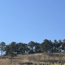 구례 5일시장내 다단지(주차장) | 구례 당일치기 여행 &lt;지리산 치즈랜드, 산수유마을, 벚꽃 명소 등&gt;