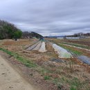 운천역공인중개사사무소 이미지