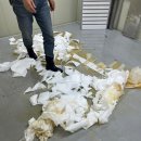 서구 현장사무실 화장실 이미지