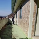 신서면-1 이미지