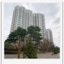 (주)월드공인중개사사무소 | 동판교 백현마을8단지를 선택하는 이유 - 판교대림공인중개사(부동산)