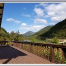 메뚜기민박 이미지