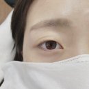 수원역 아트비에서 속눈썹펌한 후기