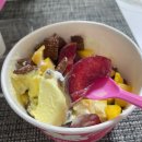 일신문구 | 광주 요거트아이스크림 디저트 맛집 요거팡 문흥점 추천 | 문흥동 요거팡 포장 후기
