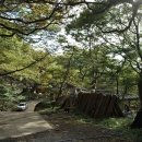 도비직업소개소 이미지