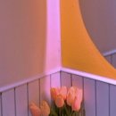 루아네 하우스 이미지