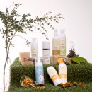 제주의꿈 이미지