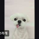 꽃보라미용실 네이버블로그