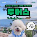 위드댕댕 이미지