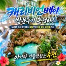 플랜베이 | 캐리비언베이 방문 후기 총정리: 용인 에버랜드 워터파크 6월 아이와 가볼 만한 곳 추천