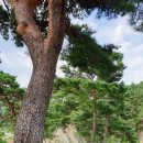 행곡4리(주천대) 네이버블로그