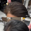 착한염색 | 창원 염색 팔용동 가성비 미용실 착한미용실