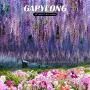 지안목장 | 가평 베고니아새정원 서울 근교 가볼만한곳 실내놀거리 추천