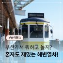 해월송 | 해운대해변열차 혼자타도 재밌는 이유