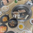 [천안 성거 맛집] 대명 : 삼겹살 맛집 또또또간 후기