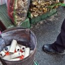 사평전통시장 이미지