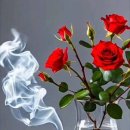 황학행정사 이미지