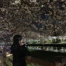 정성애국밥 이미지