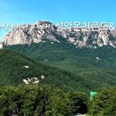 일성당구장 이미지