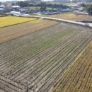 경매기초 이미지