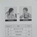 레드볼 이미지
