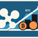 월드 컴퓨터 세탁 이미지