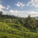 보성상회 이미지