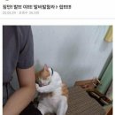 야 이미지