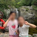 삼척활기자연휴양림 | [삼척/숙소] 예약하기 그렇게 어렵다는 인스타핫플 삼척활기자연휴양림 후기