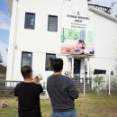 옥천동물병원 | 고양이입양보내기 옥천강아지보호소 이 아이도 웃을 수 있어요