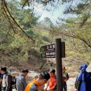 2023.04.01. 남산 금오봉(용장골~금오봉~삼릉주차장 약 8.55km 3.5시간)..동고동락산악회.. 이미지