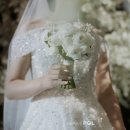 폴미션 | 본식 DVD 추천 빌리브폴 4K 웨딩 영상 계약 후기 짝꿍 코드 할인