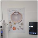 으뜸50안경원 이미지