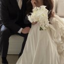 헤이스짐 | [Wedding.15] 웨딩촬영(2) :: 헤이스스튜디오 B-1| 보넬리가든 하얀집 &amp; 정원씬 촬영
