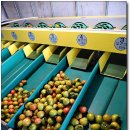 다해농장 이미지