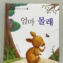 대전유평초교 네이버블로그