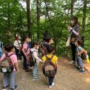 푸른환경개발