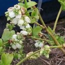 순재농장 이미지