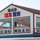 여시초대게물회 이미지