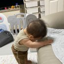 술레잡기 네이버블로그