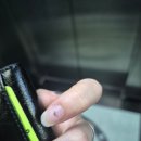 세븐일레븐 대구대명대덕점 | 5월 넷째 주 취미 일상 ② | 대명역 네일샵 &#34;네일의 온도&#34; / 뮤지컬 &lt;더 픽션&gt;-대구