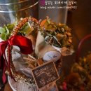 콜린(colline) 티스토리